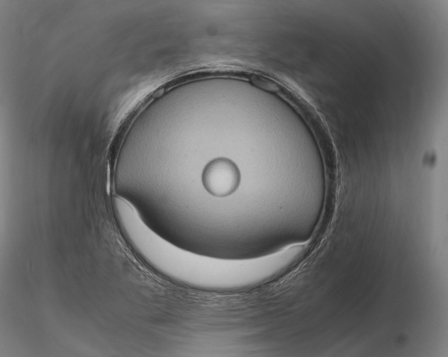 X0000115581269200912011430