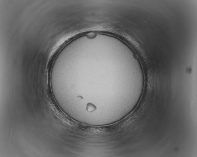 X0000115581270200912011430