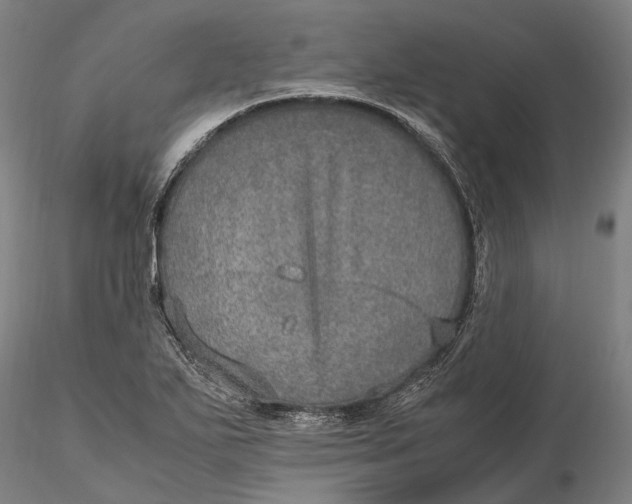 X0000115581271200912011430