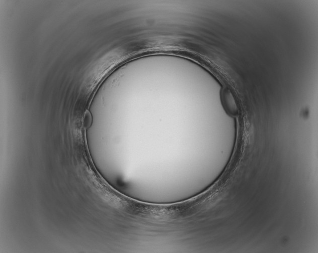 X0000115581273200912011430