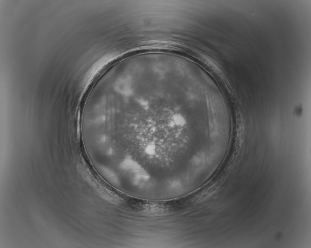 X0000115581275200912011430