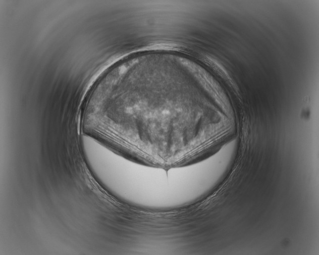 X0000115581276200912011430