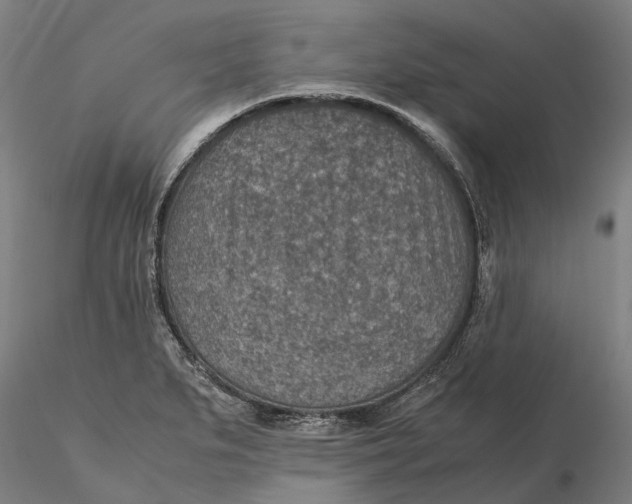 X0000115581279200912011430