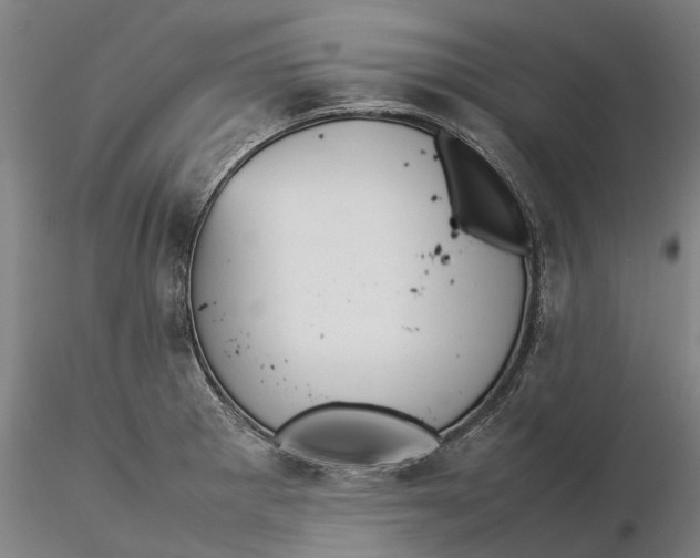 X0000115581281200912011430