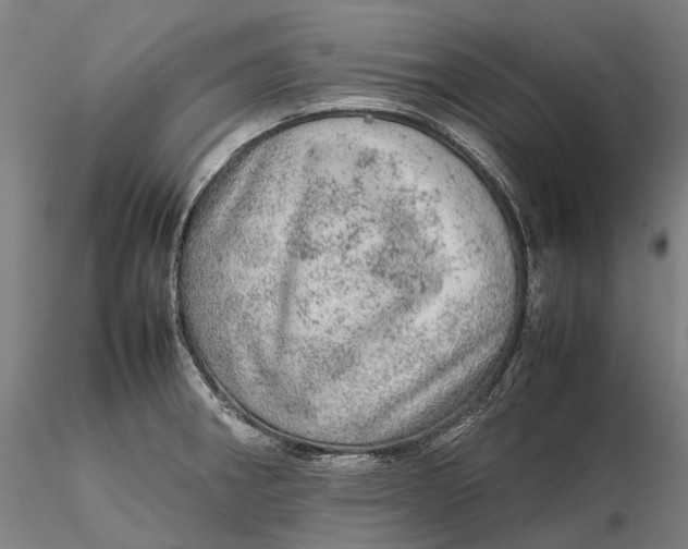 X0000115581282200912011430