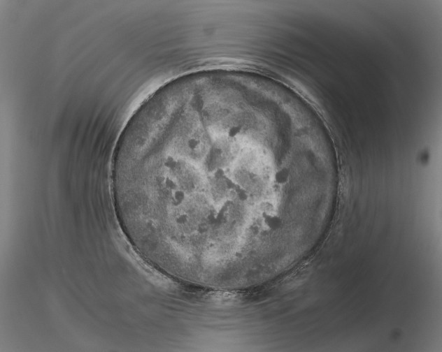 X0000115581283200912011430