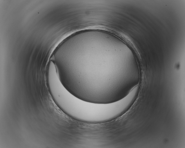 X0000115581284200912011430