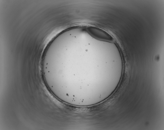 X0000115581285200912011430