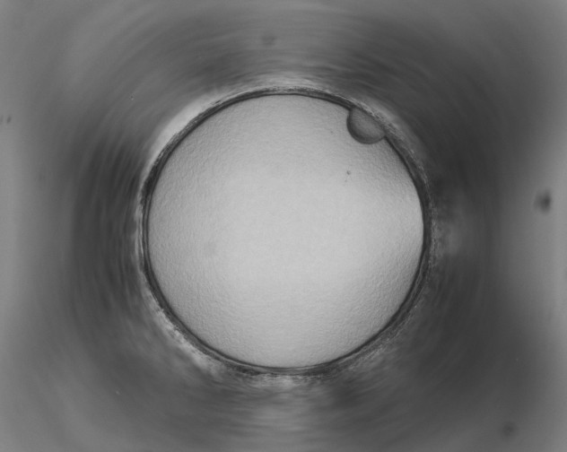 X0000115581286200912011430