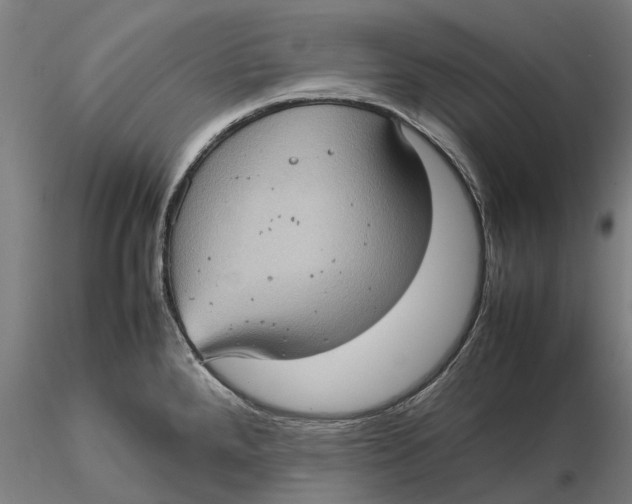 X0000115581288200912011430