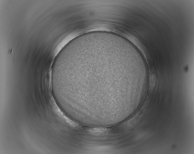 X0000115581290200912011430