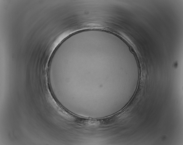 X0000115581291200912011430