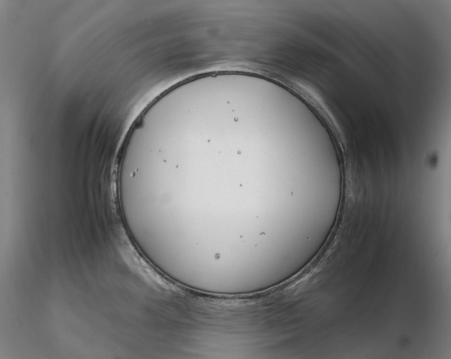 X0000115581292200912011430