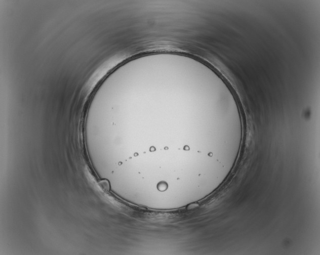 X0000115581293200912011430