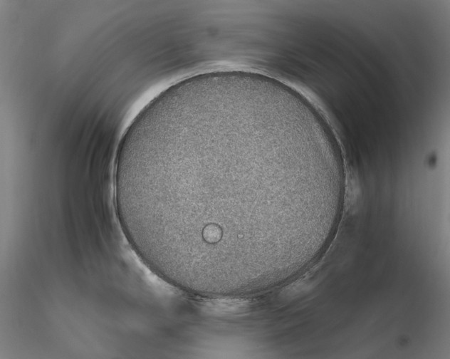 X0000115581294200912011430