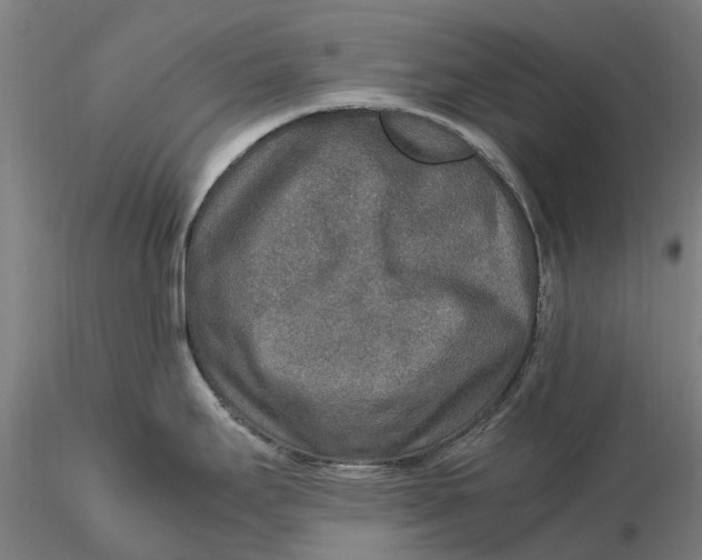 X0000115581295200912011430