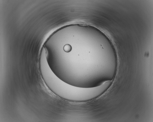 X0000115581296200912011430