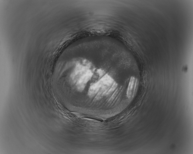 X0000115581297200912011429