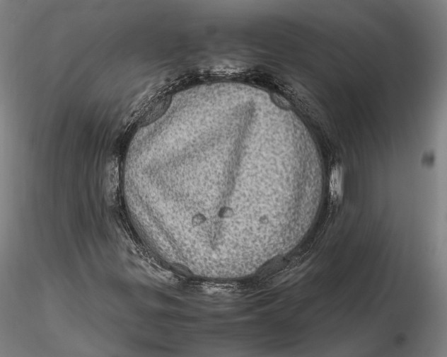 X0000115581299200912011429