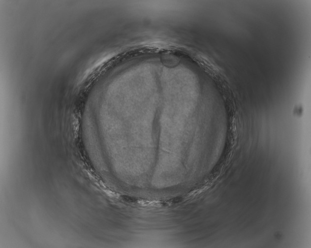 X0000115581302200912011429