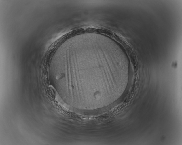 X0000115581303200912011429