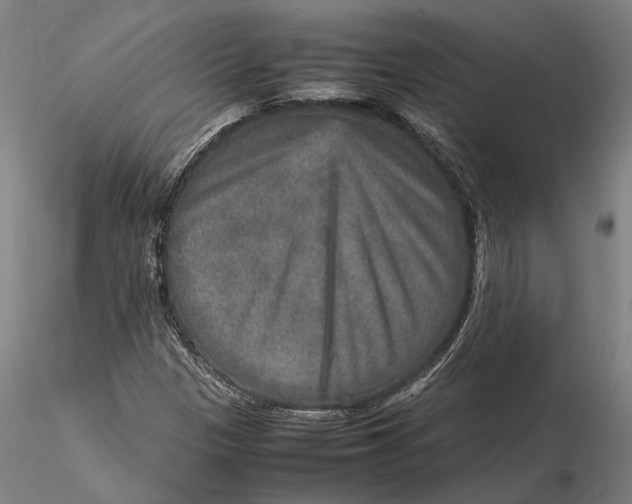 X0000115581305200912011429