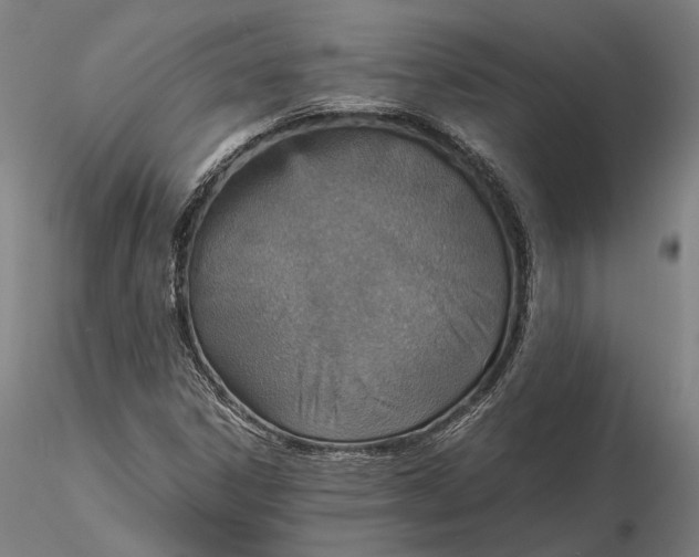 X0000115581306200912011429