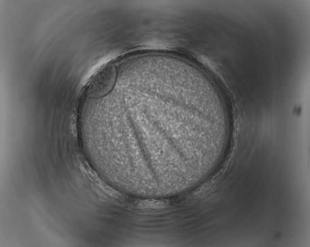 X0000115581307200912011429