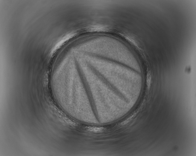 X0000115581309200912011429