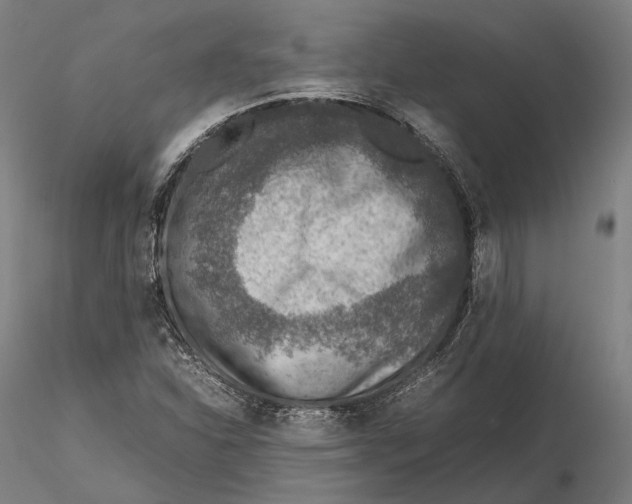 X0000115581310200912011429