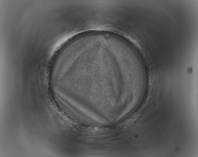 X0000115581311200912011429