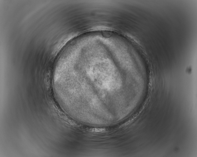 X0000115581313200912011429