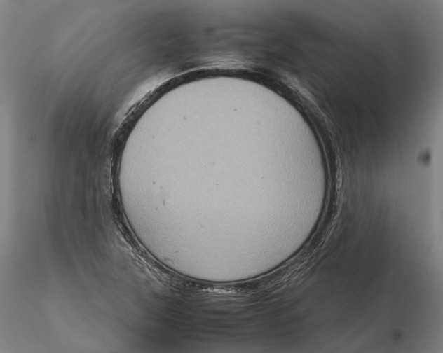 X0000115581315200912011429