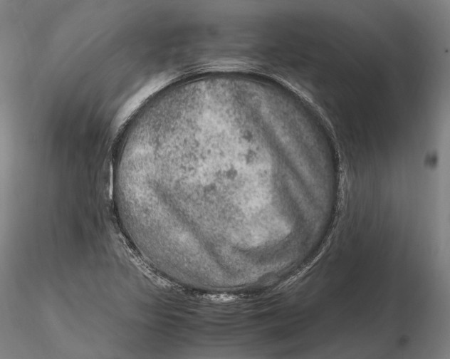 X0000115581317200912011429