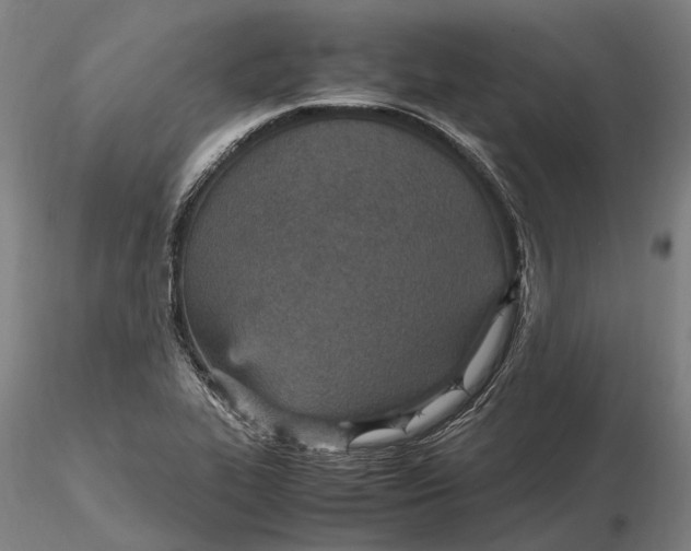 X0000115581319200912011429