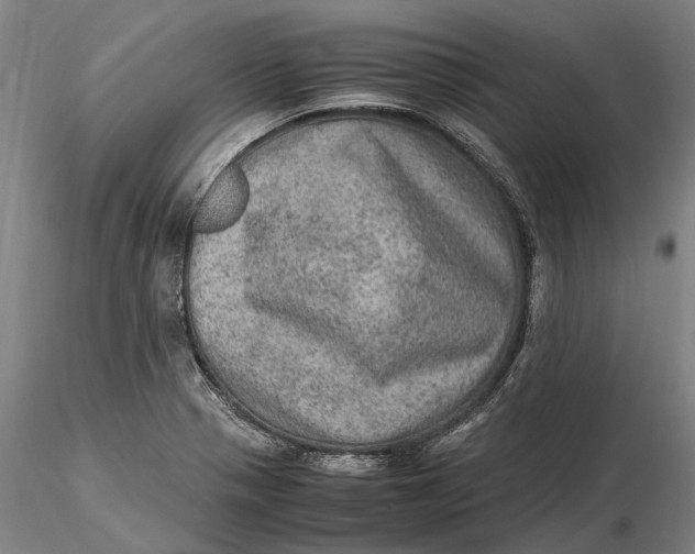 X0000115581321200912011429