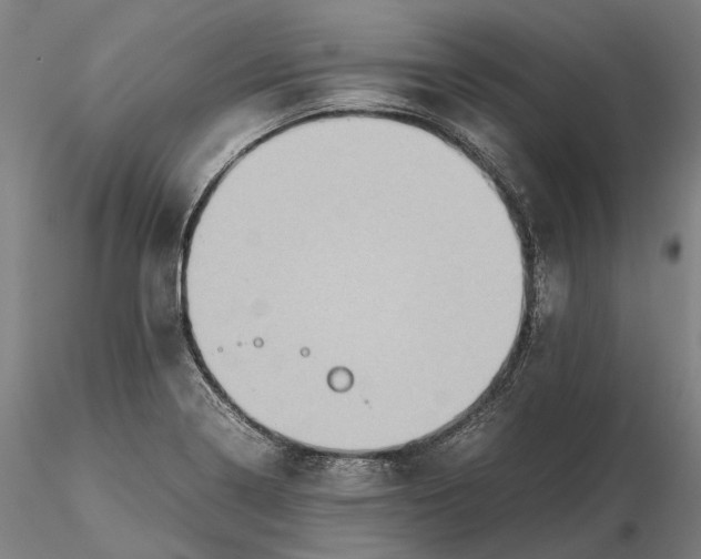 X0000115581322200912011429