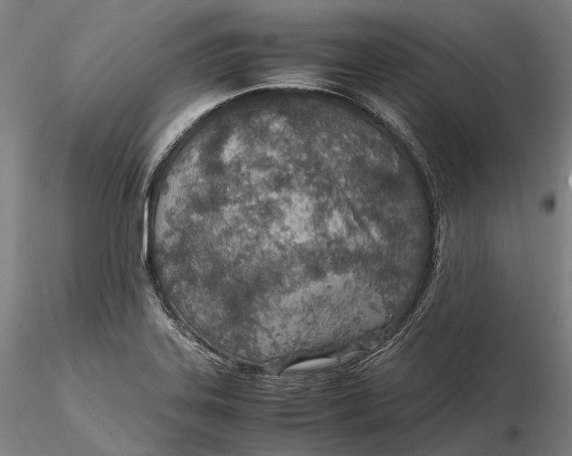 X0000115581323200912011429