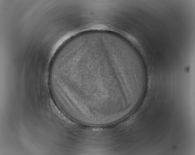 X0000115581326200912011429