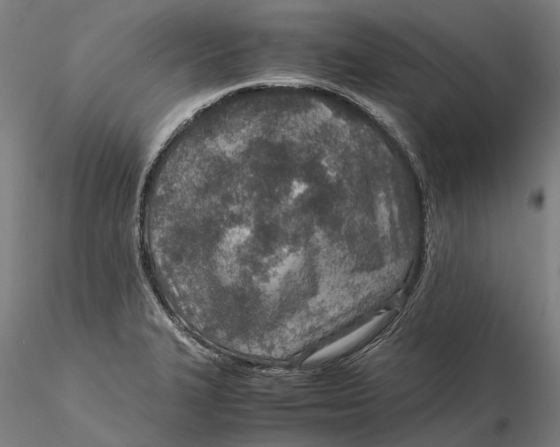 X0000115581327200912011429