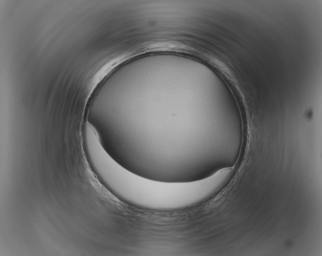 X0000115581330200912011429