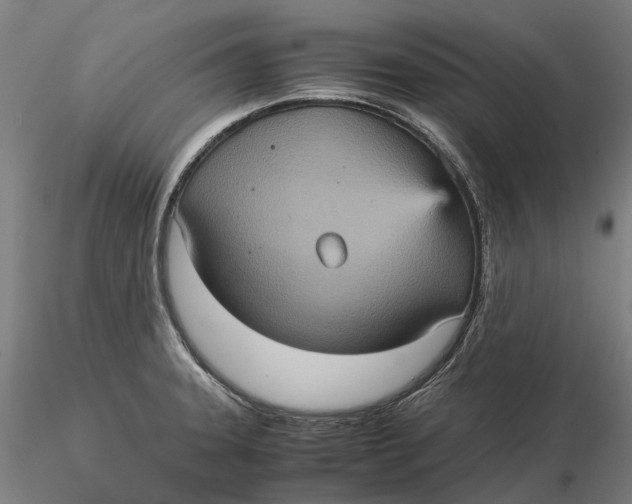 X0000115581331200912011429