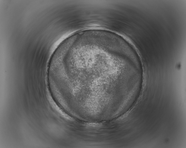 X0000115581333200912011430