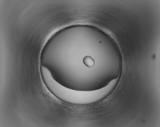 X0000115581334200912011430