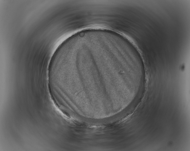 X0000115581335200912011430