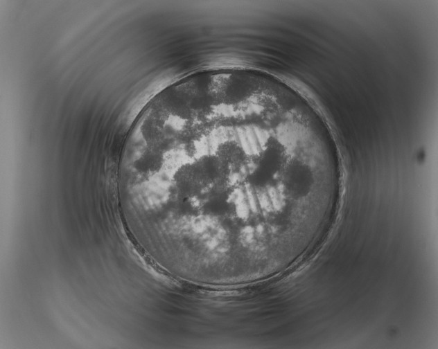 X0000115581337200912011430