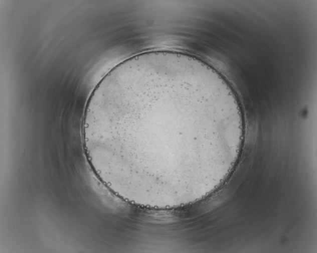 X0000115581338200912011430