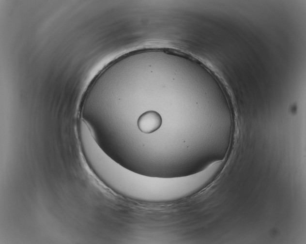 X0000115581342200912011430