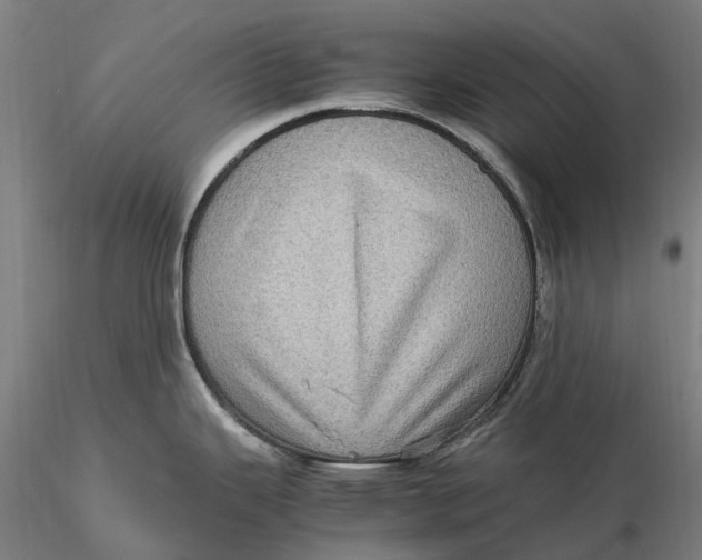 X0000115581343200912011430