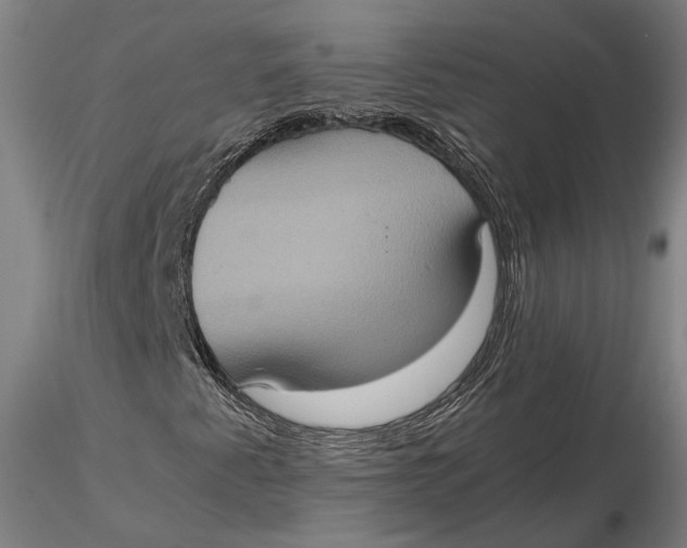 X0000115581345200912011429